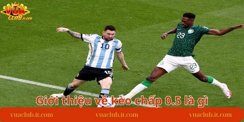 gioi-thieu-ve-keo-chap-0.5-trong-ca-do-bong-da