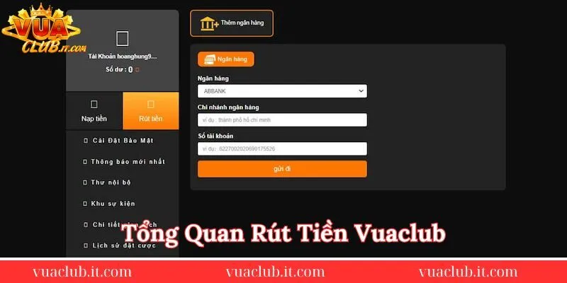 tong-quan-rut-tien-Vuaclub